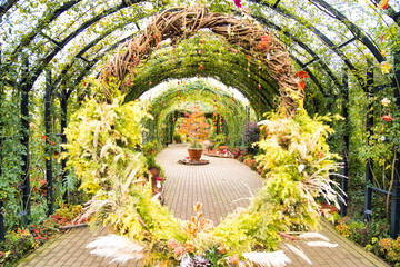 秋薔薇の咲く横浜イングリッシュガーデン