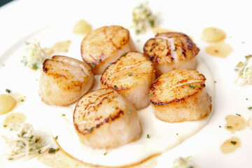 grilled scallop on plate