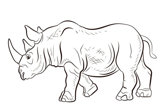 Wild African animal rhinoceros, black and white image. Coloring book for children, big and scary rhino.