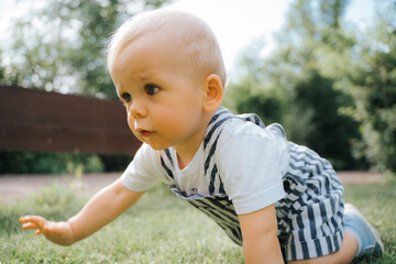 cute toddler crawling on lawn