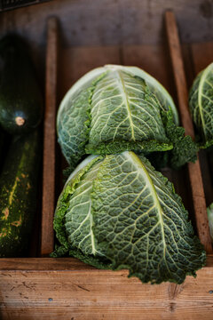 vegetable in a shell
