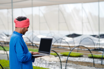 Young indian farmer using laptop at greenhouse or poly house