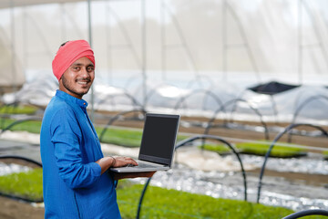 Young indian farmer using laptop at greenhouse or poly house