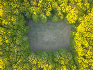 Aerial view spring forest. Natural green background. Photo from the drone. Glade in the forest  © alzay