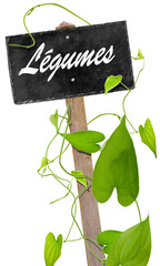 Liane de hoffe sur Affichette légumes , fond blanc 