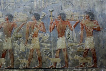 Reliefs from the tomb of Ptahhotep offering animals in Saqqara in Egypt