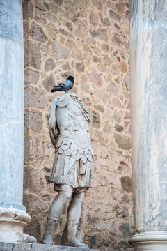 Pigeon on a headless statue