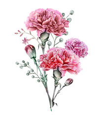 Watercolor carnation clipart,  Dusty pink carnation for Mother's day card,  Watercolor  boho roses isolated. Red carnation frames, Mother's day greeting card - 416930876