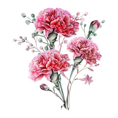 Watercolor carnation clipart,  Dusty pink carnation for Mother's day card,  Watercolor  boho roses isolated. Red carnation frames, Mother's day greeting card - 416930891