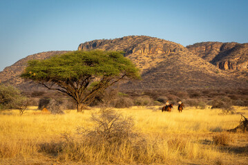 Two women riding past acacia near hills
