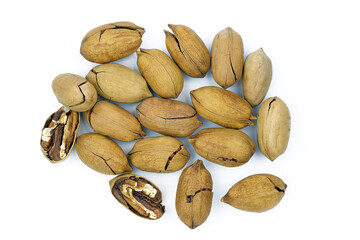 Pecan in a shell on a white background top view. Pecans, in shell and slightly chopped.