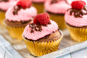Chocolate raspberry cupcakes