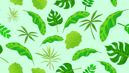 Seamless pattern of  houseplants on green background. Vector illustration of tropical leaves.