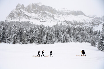 skiers on the mountain