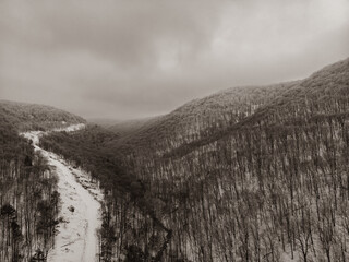 Fresh right-of-way cleared through a wintry mountain pass