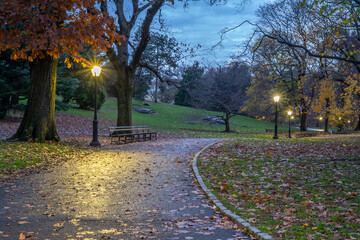 Autumn in Central Park