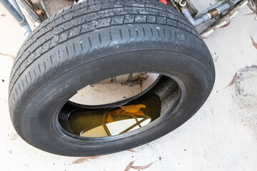 Old abandoned tyre with still water from rain condusive place for aedes mosquito breeding....
