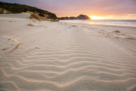 New Zealand coast