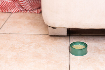 Closeup scented natural citronella lemongrass extract mosquito insect repellent for safe and chemical free protection in bedroom