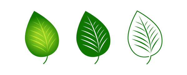 Green leaf icon