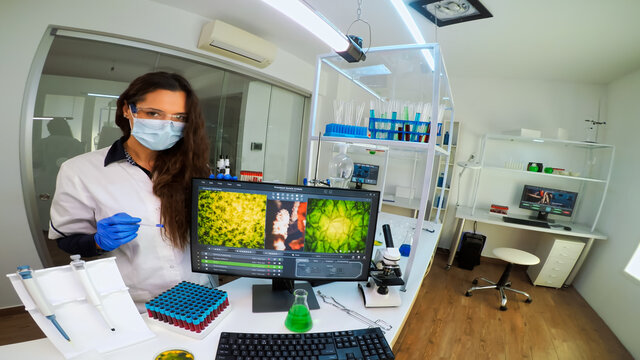 POV of scientists team worried about virus evolution discussing pointing at computer. Stuff examining vaccine development using high tech researching treatment against covid19 virus