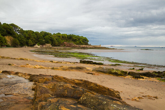Kirkcaldy Sandy Beach, part of shore below Ravenscraig Castle with Signature Sandstone at Front and Washed out Green Alga	
