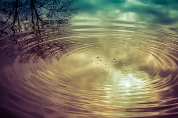 Keuken foto achterwand Reflectie Rimpelingen in het water van een vijver waarin een boom wordt weerspiegeld.