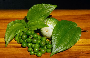 Traditional Sundanese raw salads Leunca Solanum nigrum. Daun Pohpohan Pilea melastomoides. A round eggplant Solanum melongena very popular in West Java Indonesia