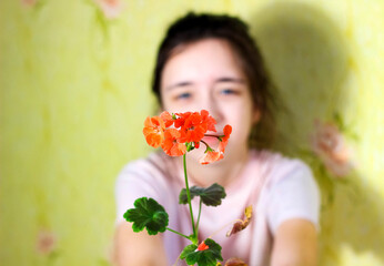 Naklejka premium A smiling girl holds a potted geranium in her hands. Blur.