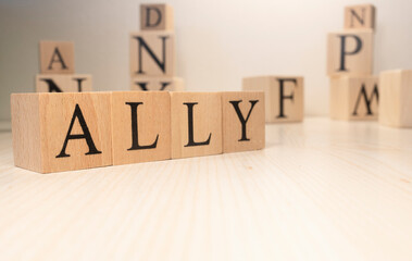 The word Ally is from wooden cubes. Background from wooden letters.