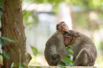 mother and baby