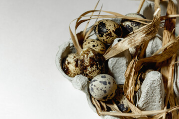 Quail eggs in a paper tray on a grass straw. top view