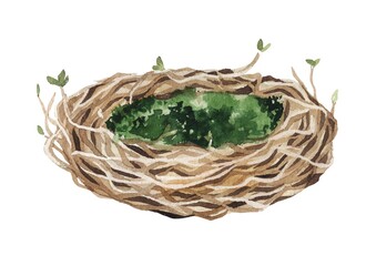 watercolor illustration.  Spring nest of birds, from branches with buds and green moss.  Design for postcards, print