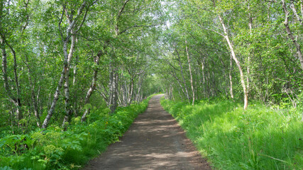 Fototapeta premium Iceland