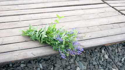 A bouquet of blue wildflowers on a wooden background.