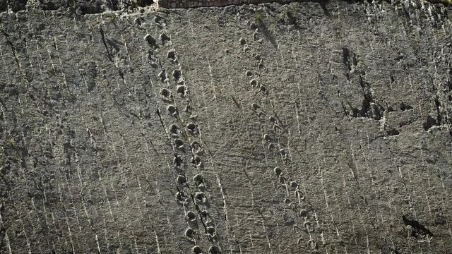 Dinosaurs tracks on the vertical wall in Bolivian Cal Orcko tracksite