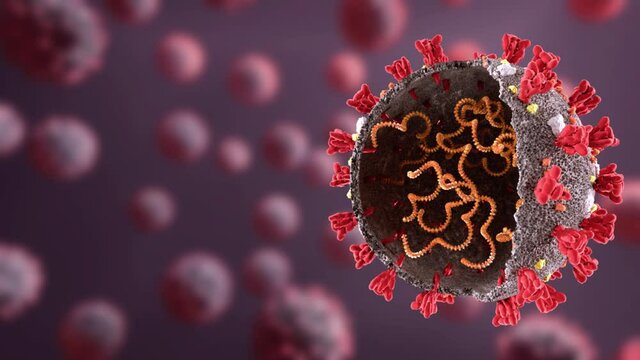 Corona virus, SARS CoV 2, 2019 nCoV News and blogs ready video.  Text free video. 3D Animation. Animation template. Alpha matte included.