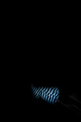 Blue feather. Dark nature background. Bird: Eurasian Jay. 