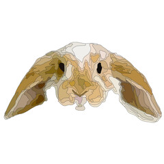 Rabbit Bunny Head Vector