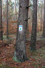 Hiking path symbols on a tree in a shape of a christmas tree and a blue trail	
