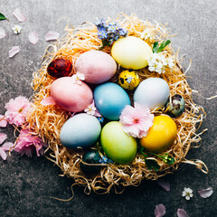 Easter eggs dyed with natural ingredients from red cabbage, onion, spinach, berries, turmeric, coffee. Homemade naturally dyed eggs. Beautiful setting with eggs in nest and spring flowers.