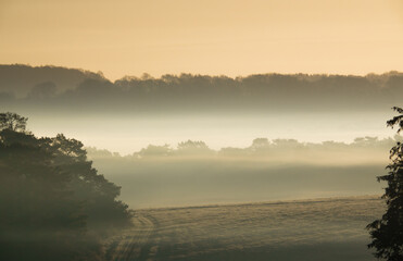 scenic view across fields and treelines covered in early morning mist