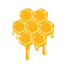 honeycomb dripping honey isolated on a white background