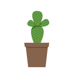 A cactus in a pot is isolated on a white background. Home plant.