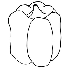 Bell pepper, healthy vegetable
 black lines on a white background. Symbol of healthy food, ingredient of salads, dishes. For the design of the menu of restaurants,the composition of dishes. Vector.