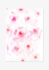 Hand drawn watercolor rose flowers in temder pink and red colors on grunge abstract background