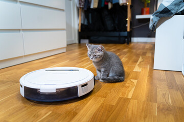 Cleaning theme, smart technology and pets. Automatic robot vacuum cleaner cleans the room, while...