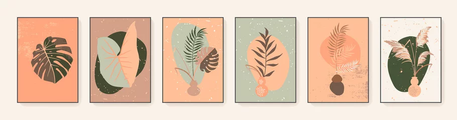 Vektor Pampasgras zeitgenössische Wandkunstdrucke. Aartistic Boho botanisches Wandkunstset. Abstrakte exotische Pflanzen Wohnkultur Drucke. Weiche sanfte gedämpfte neutrale Farben. Modernistische Ästhetik der Mitte des Jahrhunderts © babayuka
