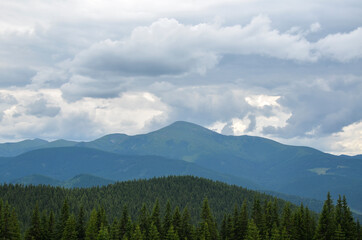 Fototapeta premium Part of Chornohora range with the highest mountain of Ukraine Hoverla in cloudy summer day. Panoramic view, Carpathian Mountains, Ukraine