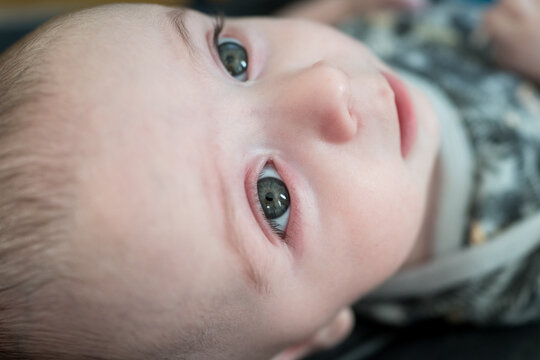 Close Up Of Little Cute Baby With Green Eyes ,High Photo